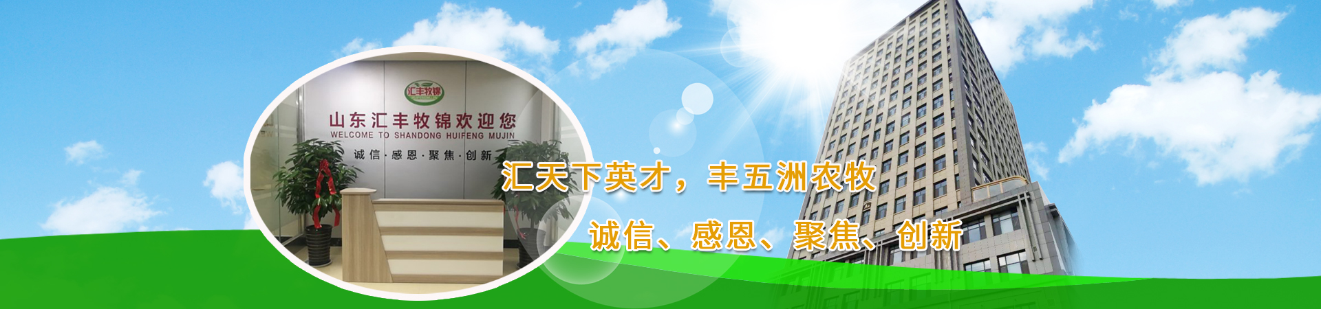 聚氨酯凝膠胺催化劑33LV在聚氨酯涂料中的應用，促進快速固化和性能提升。